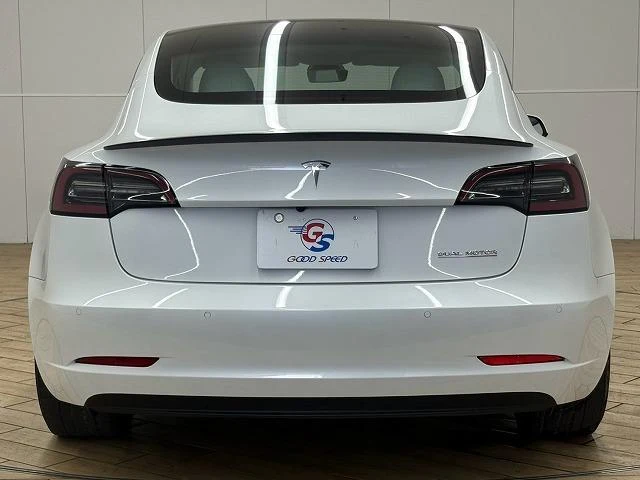 Tesla MODEL 3 20