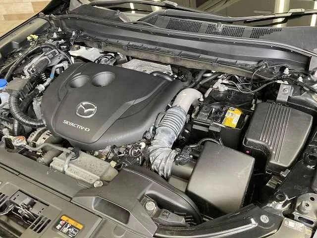Mazda CX-8 19