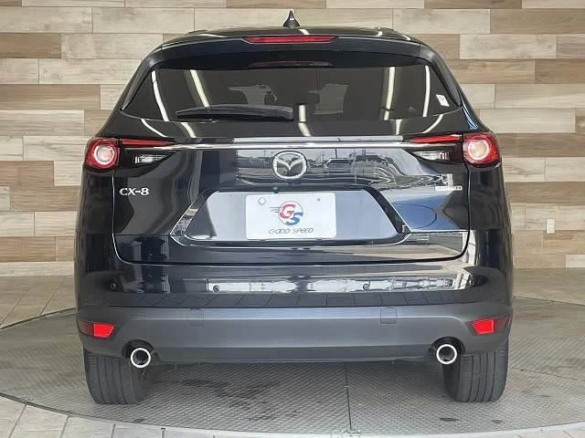 Mazda CX-8 13