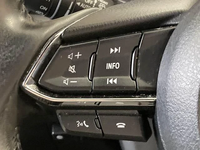 Mazda CX-8 39