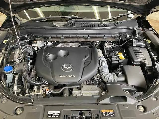 Mazda CX-8 11