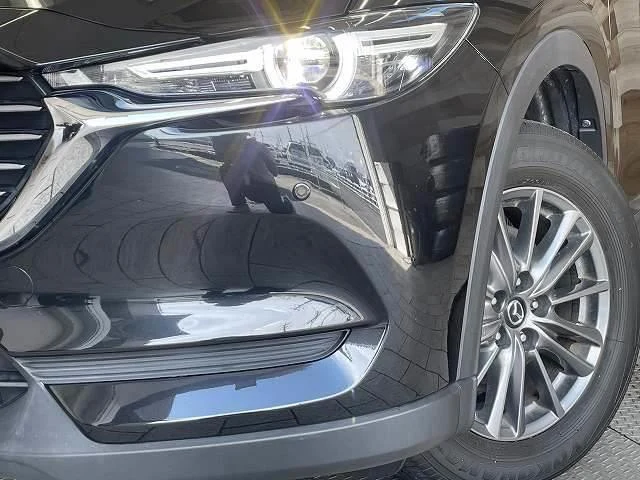 Mazda CX-8 17