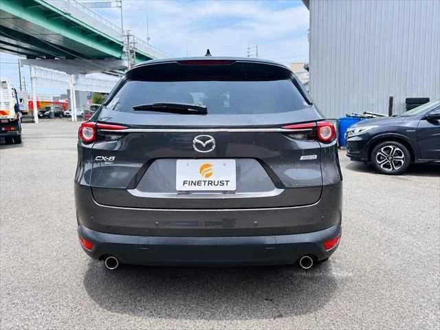 Mazda CX-8 17