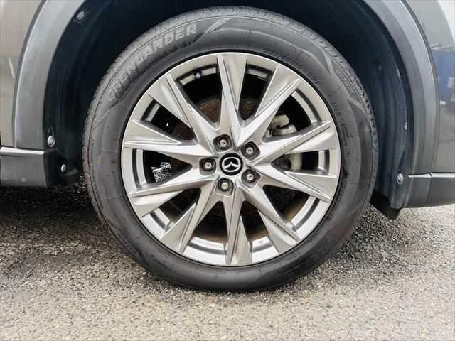 Mazda CX-8 13
