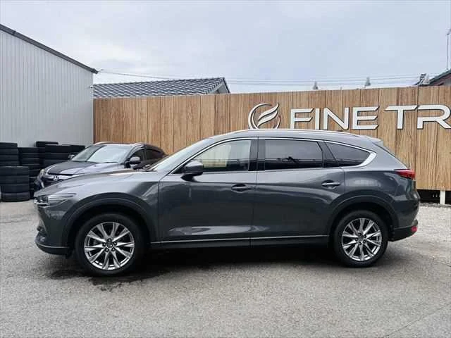 Mazda CX-8 19