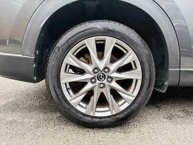 Mazda CX-8 24