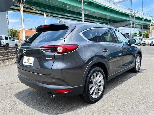 Mazda CX-8 16