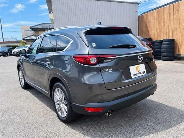 Mazda CX-8 18