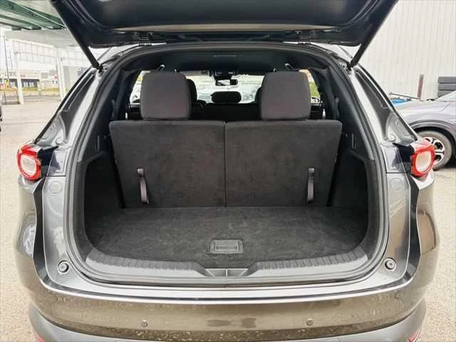Mazda CX-8 11