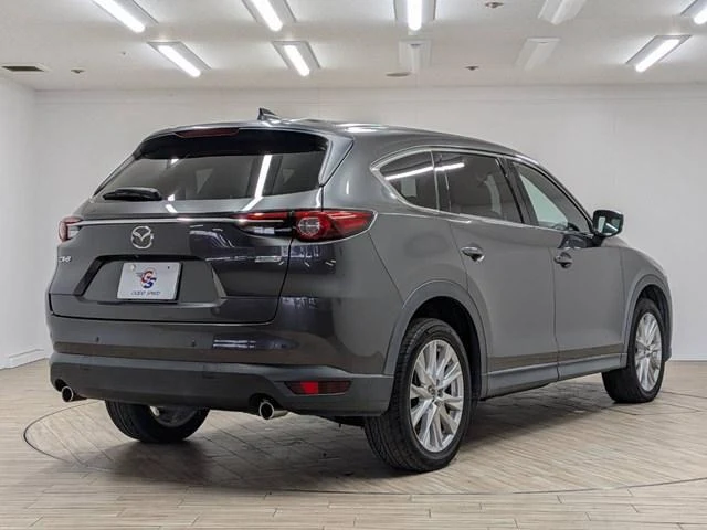 Mazda CX-8 23