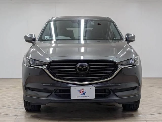 Mazda CX-8 15